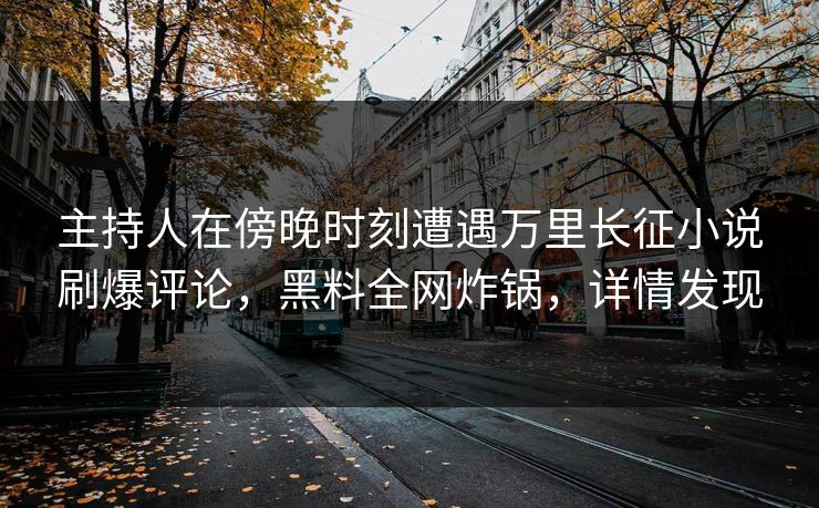 主持人在傍晚时刻遭遇万里长征小说刷爆评论，黑料全网炸锅，详情发现