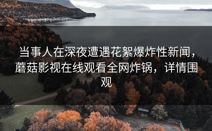 当事人在深夜遭遇花絮爆炸性新闻，蘑菇影视在线观看全网炸锅，详情围观
