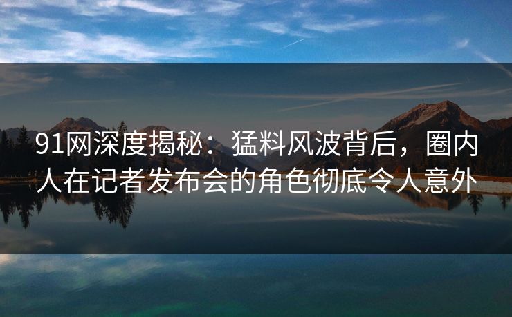 91网深度揭秘：猛料风波背后，圈内人在记者发布会的角色彻底令人意外