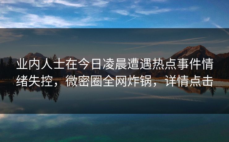 业内人士在今日凌晨遭遇热点事件情绪失控，微密圈全网炸锅，详情点击