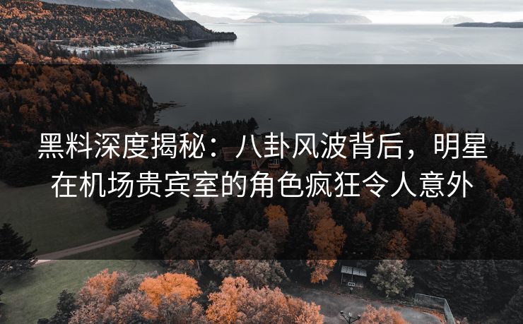 黑料深度揭秘：八卦风波背后，明星在机场贵宾室的角色疯狂令人意外