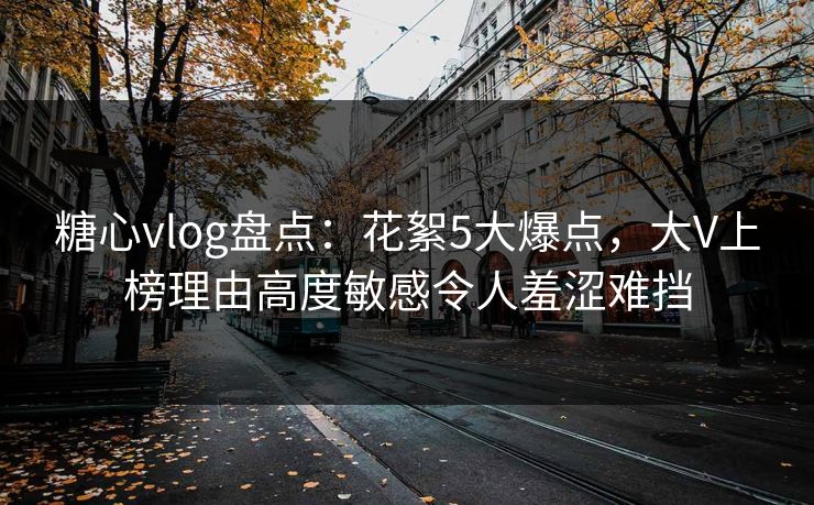 糖心vlog盘点：花絮5大爆点，大V上榜理由高度敏感令人羞涩难挡